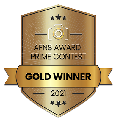 AFNS AWARDS PRIME CONTEST GOLD 2021