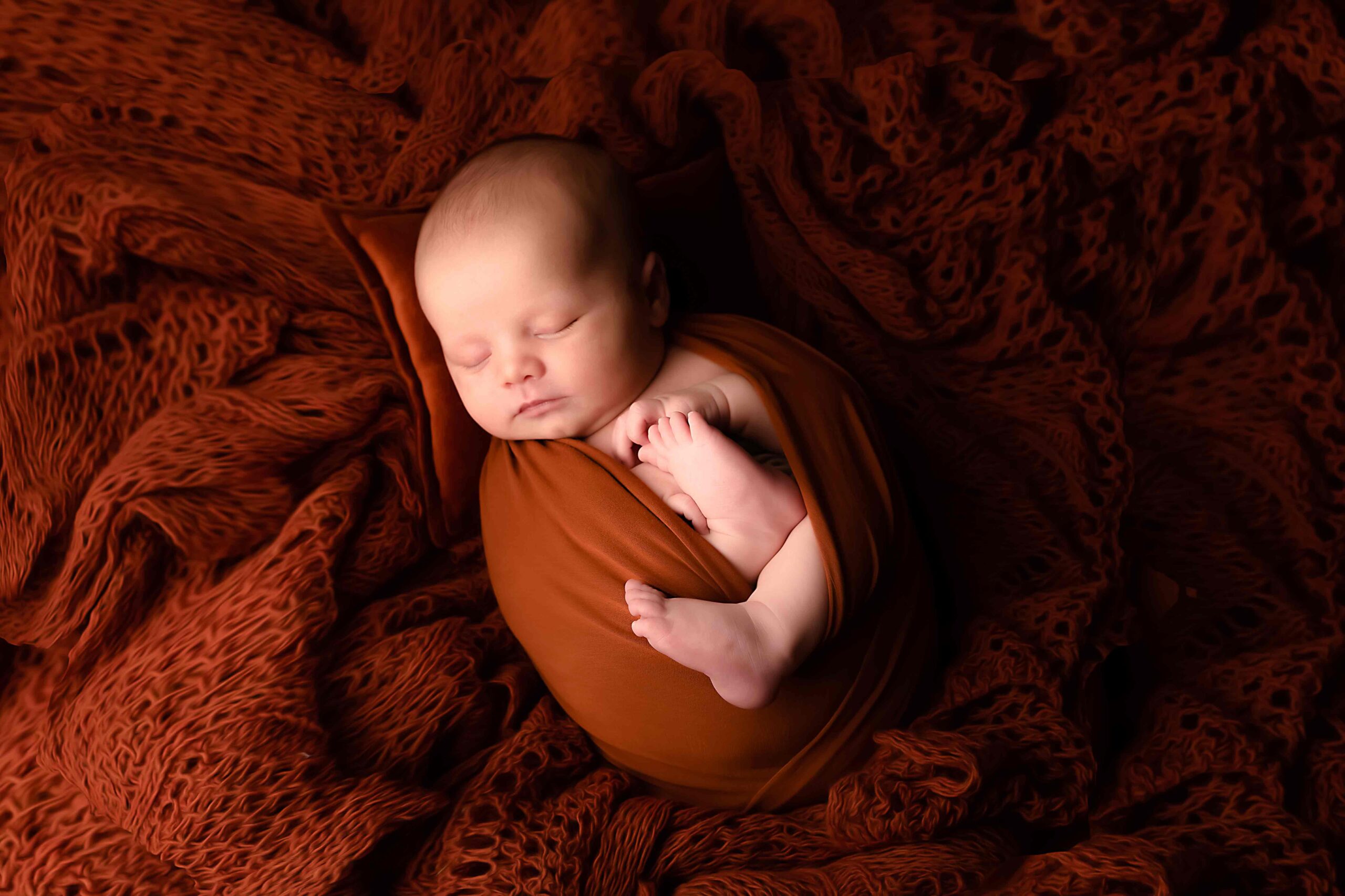 12 Naissance LES SECRETS DE LA RENARDE