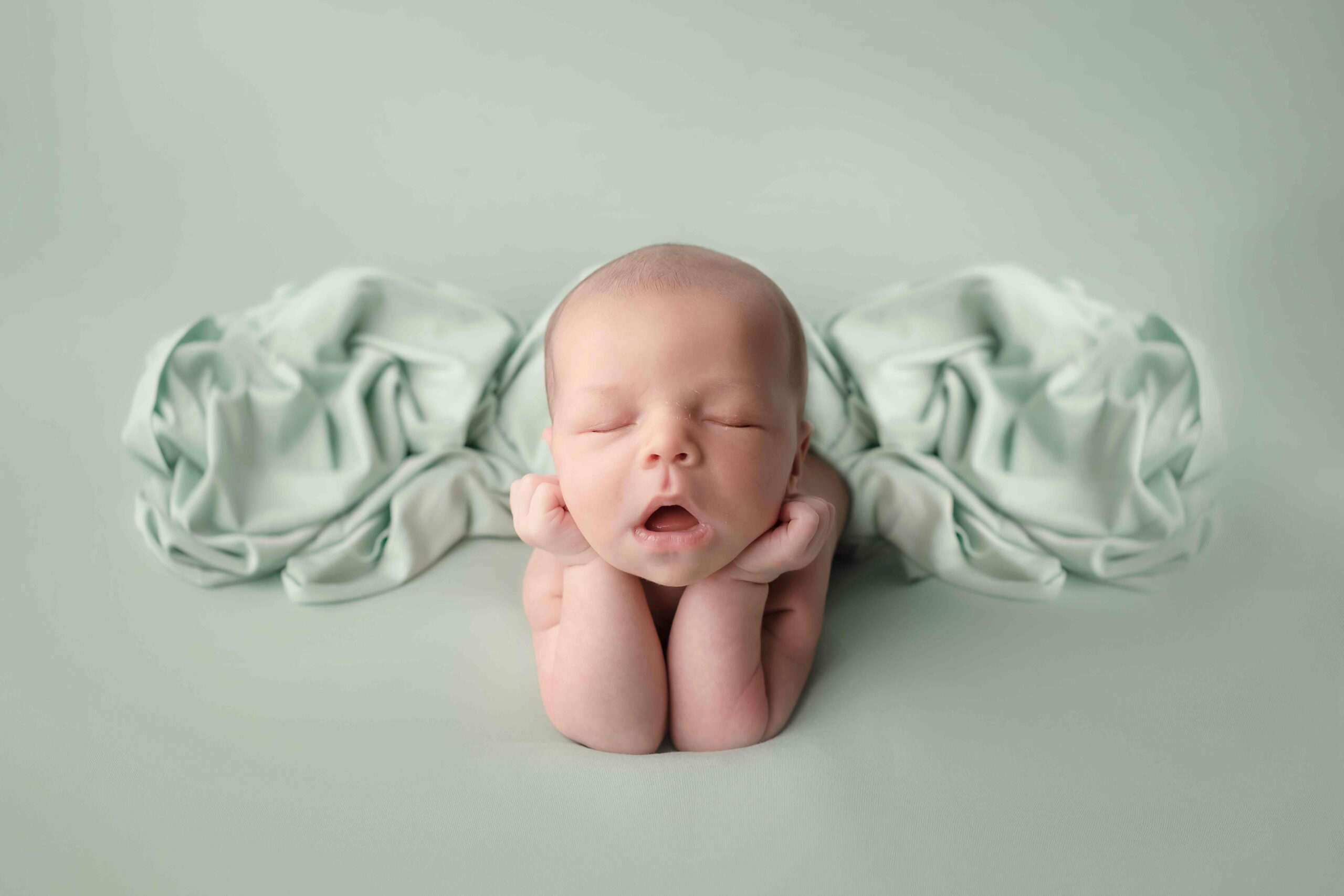 20 Naissance LES SECRETS DE LA RENARDE