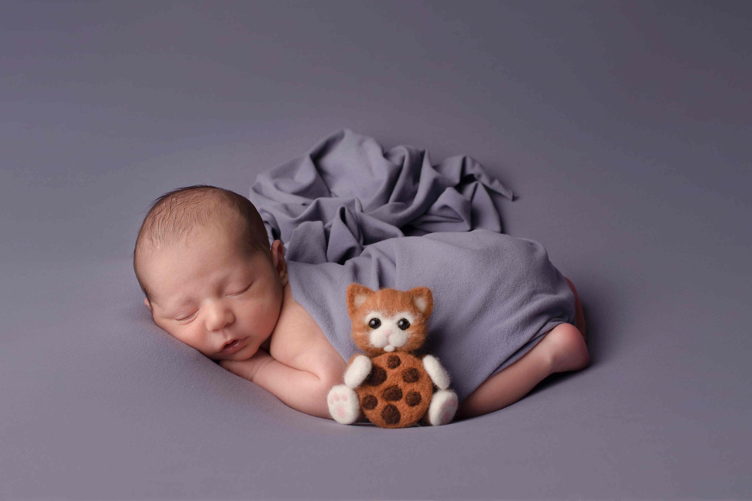26 Naissance LES SECRETS DE LA RENARDE