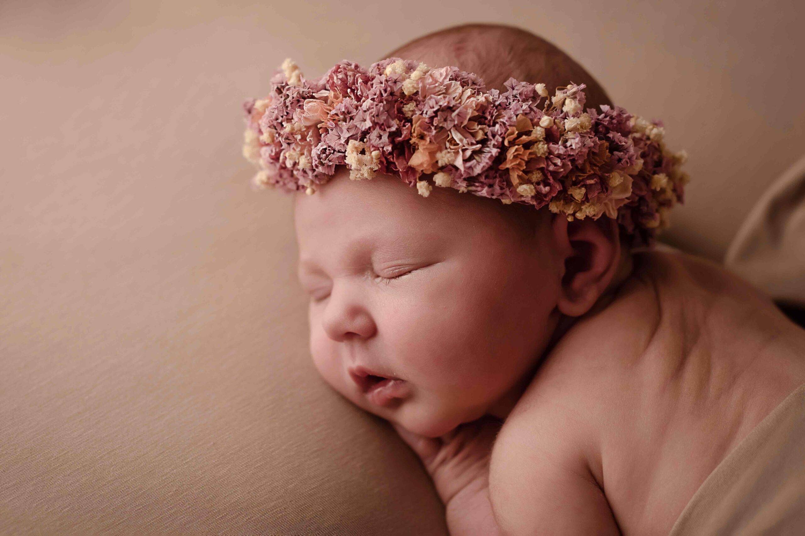 28 Naissance LES SECRETS DE LA RENARDE