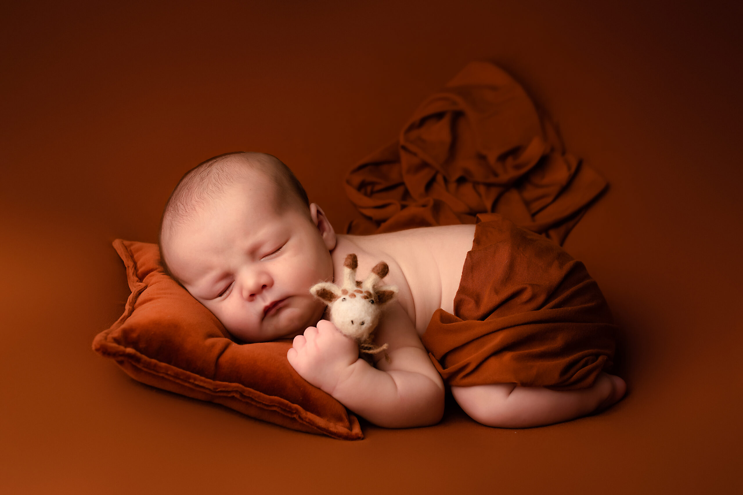 4NAISSANCE LES SECRETS DE LA RENARDE