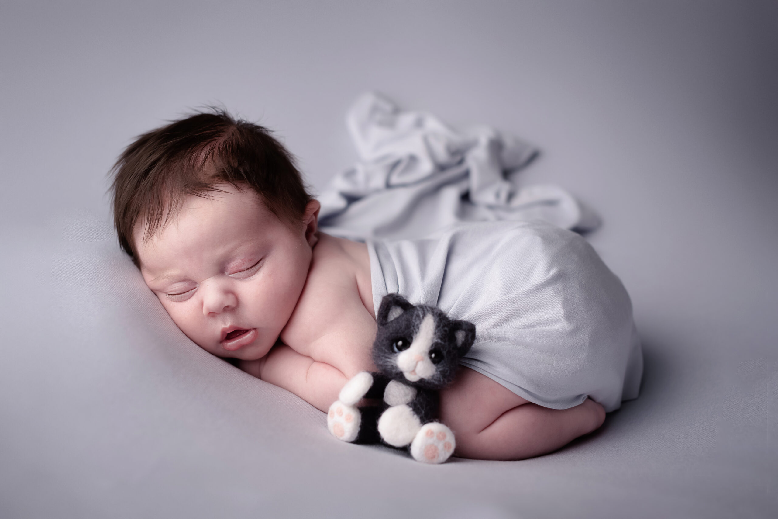 6NAISSANCE LES SECRETS DE LA RENARDE