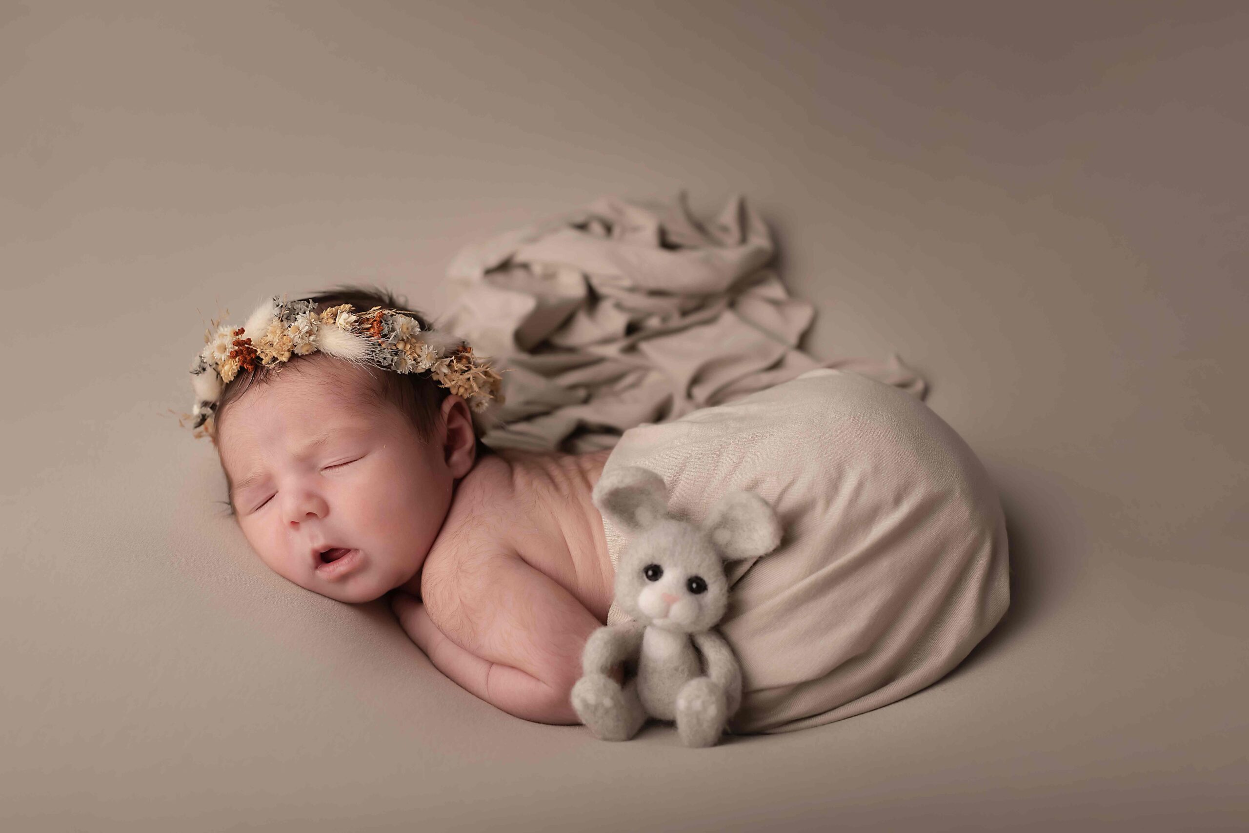 7 Naissance LES SECRETS DE LA RENARDE