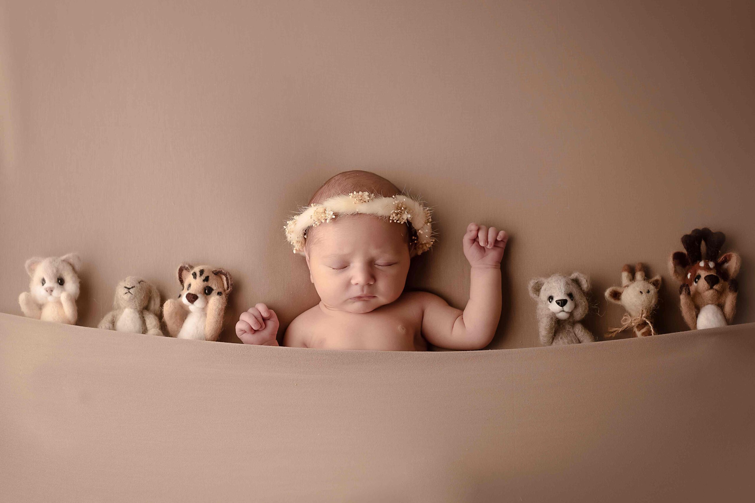 8 Naissance LES SECRETS DE LA RENARDE